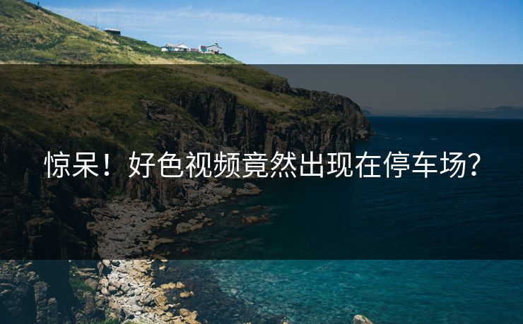 惊呆！好色视频竟然出现在停车场？