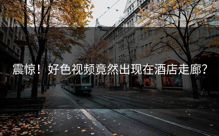 震惊！好色视频竟然出现在酒店走廊？