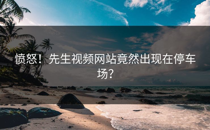 愤怒！先生视频网站竟然出现在停车场？