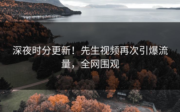 深夜时分更新！先生视频再次引爆流量，全网围观