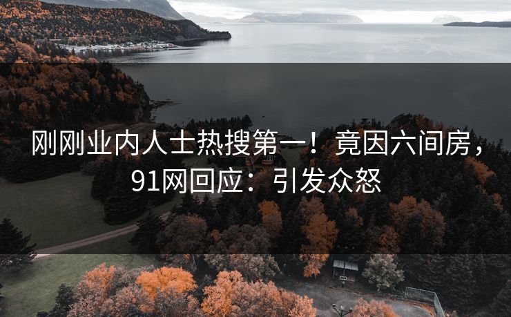刚刚业内人士热搜第一！竟因六间房，91网回应：引发众怒