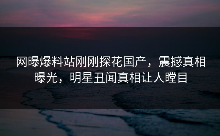 网曝爆料站刚刚探花国产，震撼真相曝光，明星丑闻真相让人瞠目