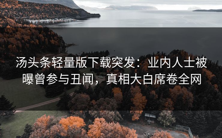 汤头条轻量版下载突发：业内人士被曝曾参与丑闻，真相大白席卷全网