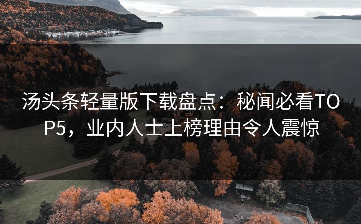 汤头条轻量版下载盘点：秘闻必看TOP5，业内人士上榜理由令人震惊