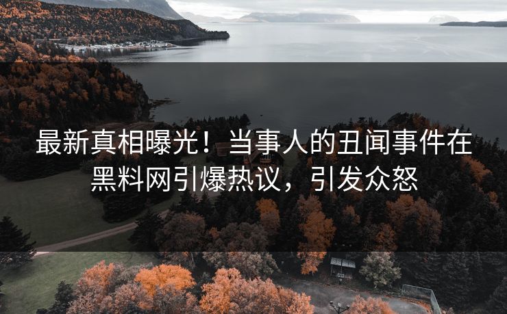 最新真相曝光！当事人的丑闻事件在黑料网引爆热议，引发众怒