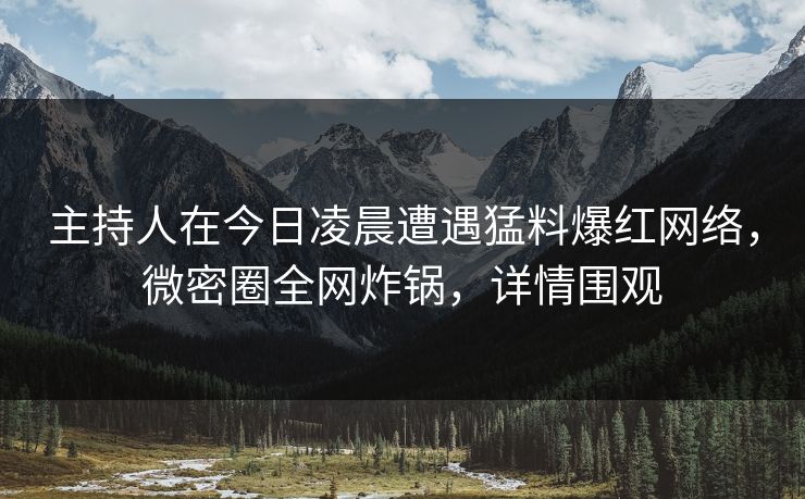 主持人在今日凌晨遭遇猛料爆红网络，微密圈全网炸锅，详情围观