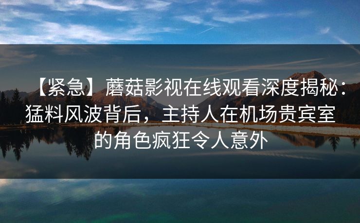 【紧急】蘑菇影视在线观看深度揭秘：猛料风波背后，主持人在机场贵宾室的角色疯狂令人意外