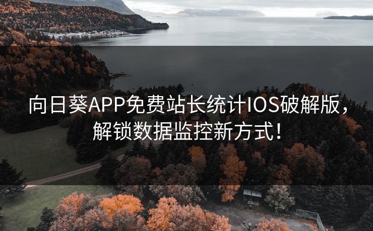 向日葵APP免费站长统计IOS破解版，解锁数据监控新方式！